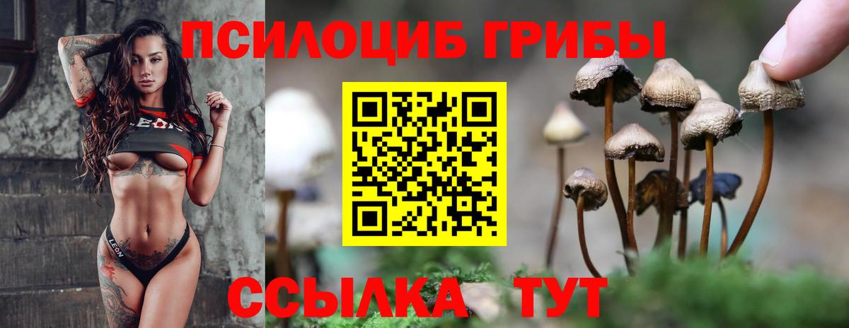 Новосибирск  Псилоцибиновые грибы Cubensis  Вход с VPN 