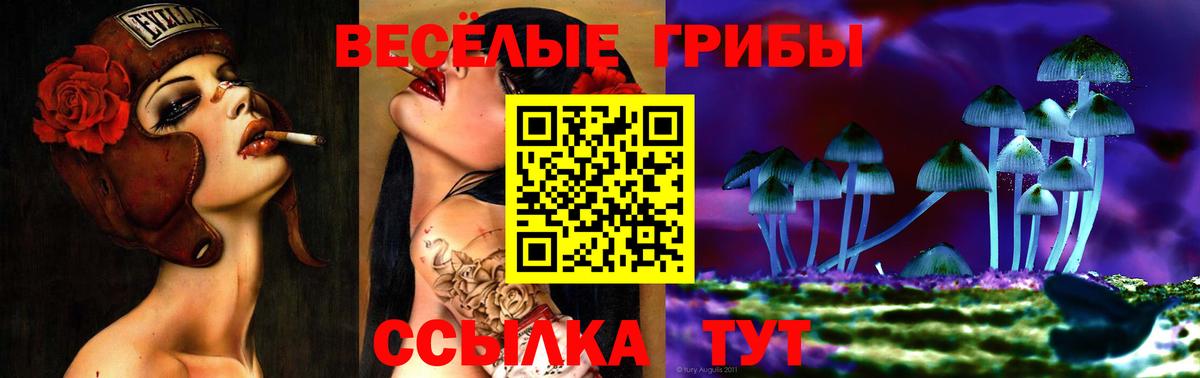 Галлюциногенные грибы Psilocybe Новосибирск